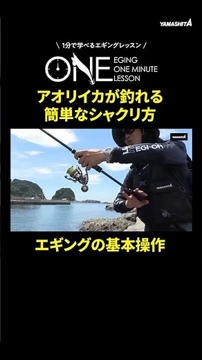 Easy Way to Catch Bigfin Reef Squid / Must-See for Eging Beginners【EGING ONE MINUTE LESSON】