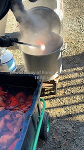 Fresh cooked bay of fundy Lobster out and cooling 16$/Lb | JB Lobsters & Seafood Inc.