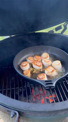 How to Grill Seafood Perfectly #bbqbutchernz #seafoodbbq