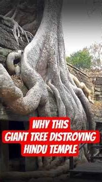 Giant Tree Roots Eating Ancient Temples From Inside Out #shorts #facts