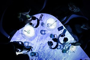 Private Immersive Dinner at the Chef's Table