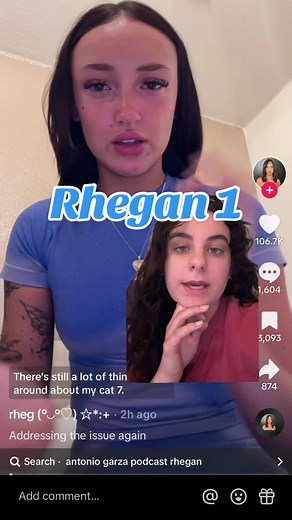 The Mysterious Case of Rhegan's Missing Cat Sevyn: Explained