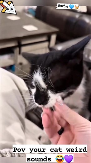 77 reactions · 56 shares | Too cute funny weird sounds of these cutie cats will makes you happy ☺️ #barbiecatlover #cat #petlovers #animals #kitten | Barbie Nathazha | Facebook