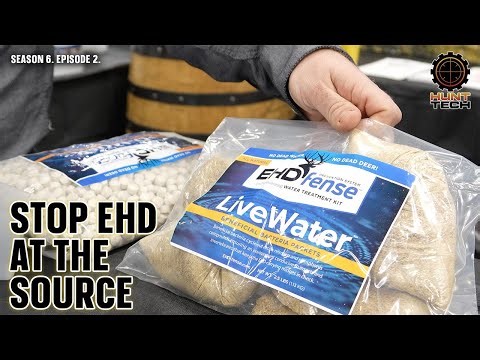 Prevent EHD in Deer with EHD-fense