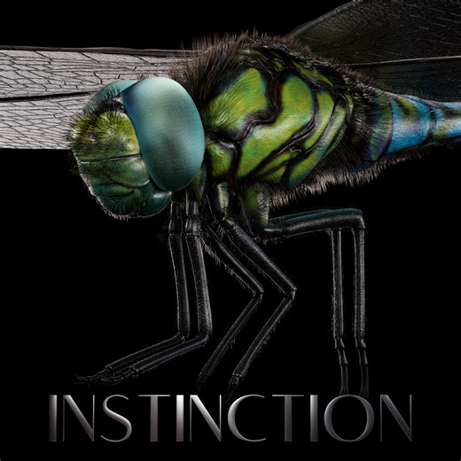 DragonFLY- INSTINCTION, Jitendra Singh Negi