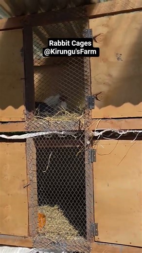 Rabbits cages - Raising Rabbit #rabbit #farming #farmer #farmlife #farm #chicken #birds #poultry