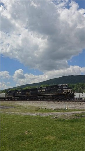 Awesome P5 Horn on NS 4732