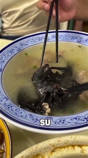 Bat Soup: Causes of Disease or the Cure?