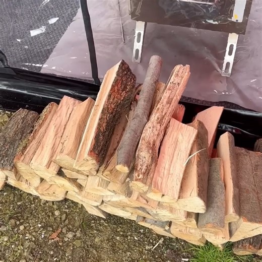 138K views · 3.6K reactions | Camping in comfort of home with our tent #camping #campingtrip #campingfun #campingvibes #campingcar #survival #bushcraft #raining #solocamping | Outdoor Camping | Facebook