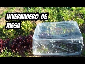 How to Make a Tabletop Greenhouse | Very Easy