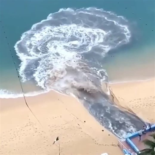 Hydrogen peroxide in wastewater treatment: eco-friendly and effective | Habibur Rahman posted on the topic | LinkedIn