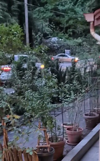 Speeders making it impossible to pull out safety on Hwy 9 - 25 mph residential - 730p 4-6-26