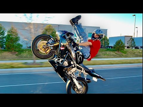 What is A Squid?! What Does it Have to Do With Motorcycles?!