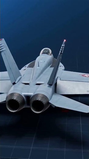 McDonnell Douglas F A 18D Hornet two seat fighter