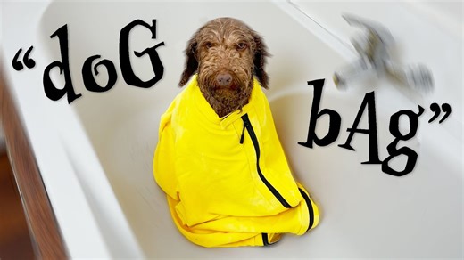 Watch man test a bunch of ridiculous gadgets so you don’t have to