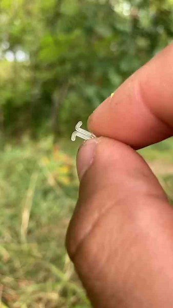 Ultimate Carp Fishing Montage