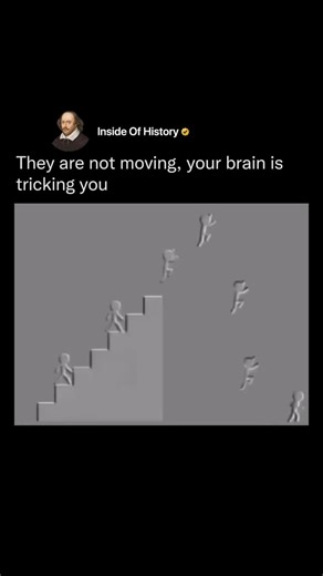 Inside Of History | The short video presents a mesmerizing optical illusion featuring a grid of colorful stick figures arranged along a staircase. The figures... | Instagram