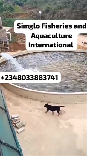 3.7K views · 64 reactions | Happy  Sunday friends  | Adeyemo Simon | Facebook