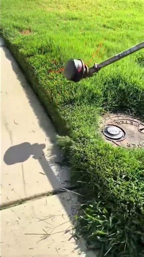 trimming lawn edges precisely using a powerful electric string trimmer near a sidewalk