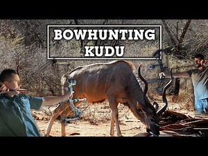 Kudu bull face-off!! (Kudu Bull Bowhunting South Africa)