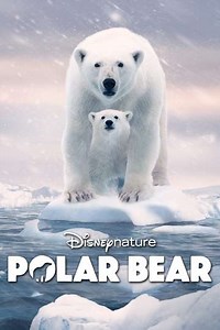 Polar Bear (2022) - Videos