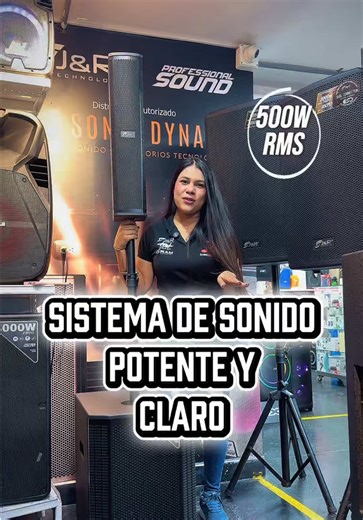 Sistema de Sonido Profesional JYR de 12 Pulgadas