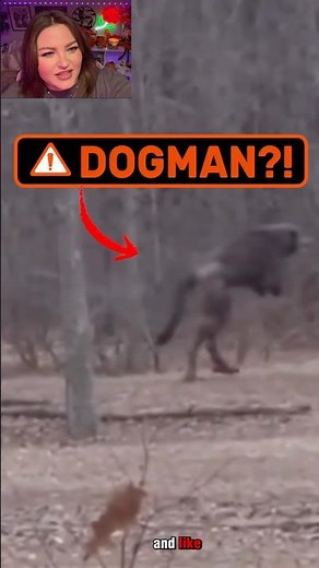 DOGMAN in Vermont #dogman #cryptids #werewolf #cryptid #cryptozoology #reactions #reactionvideo