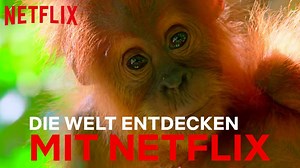 Manchmal ist das echte Leben spannender als jeder Film. P.S. Wer bei Dogs nicht weint, hat keine Gefühle! | Netflix