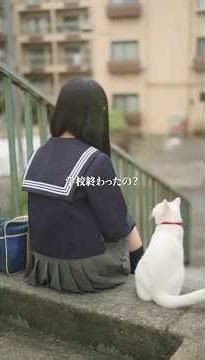 #5シロという猫が愛を運ぶ街