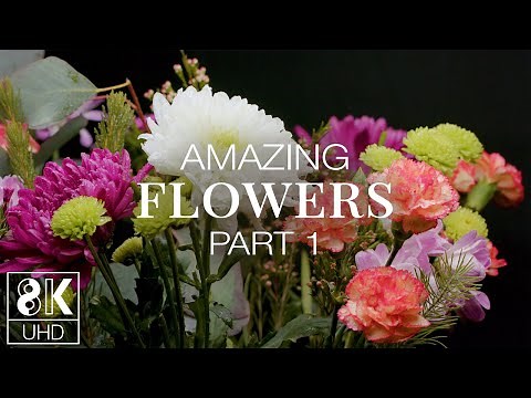 8K TV Screensaver for Offices and Waiting Rooms - Amazing Flowers Slow Motion 10-bit color - Part #1
