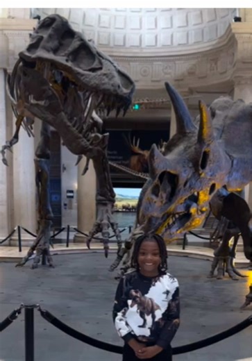 Exploring Dinosaurs at the Natural History Museum