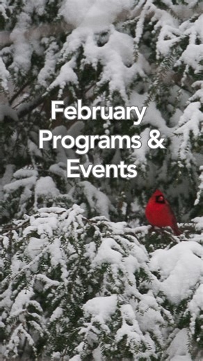 Mohonk Preserve on Instagram: "Get into nature with Mohonk Preserve! Join us for our upcoming programs & events. Learn more and register at the link in our bio! ❄️ Nature Explorers: Snow Science Tuesday, February 10 10:00 - 11:00 am 📖 Thursday Tales at Ten: Storytime at Mohonk Preserve (for ages 2-5) Thursdays, February 12 & 26 10:00 am - 11:00 am 🕊️ Great Backyard Bird Count Saturday, February 14 10:00 am - 12:00 pm 🦉 Owl Pellet Discovery Saturday, February 21 10:00 am - 11:30 am 🌝 Family F