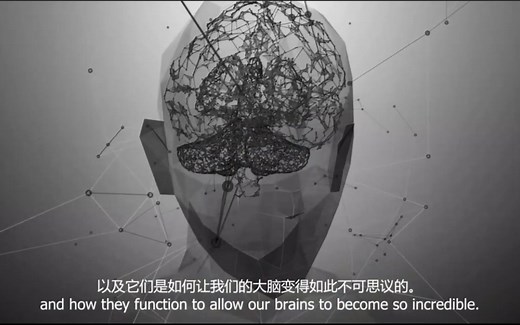 【记忆提取】在大脑中是如何工作的？