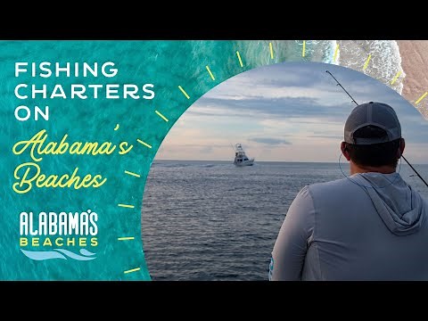 Fishing Charters in Gulf Shores & Orange Beach, AL | Plan a Fishing Trip with Gulf Coast Experts