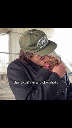 koko kushner living the best diva life ‪@david.kushner‬ #davidkushner #dogs #celebrity #spotted