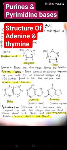 what is structure of adenine and thymine?