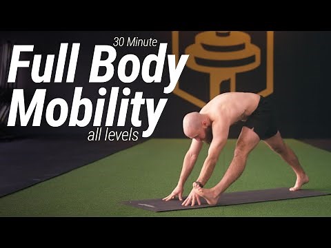30 Minute Full Body Mobility Workout for All Levels | No Talking