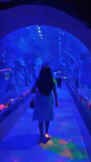 “A Day at Fun World 🎡 Aquarium + Mermaid Show You MUST See!”