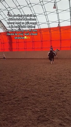 Indoor Horse Riding Techniques and Maneuvers