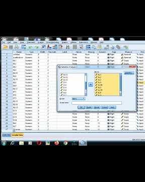 Reliability analysis in SPSS