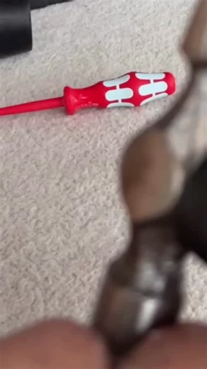 Shruthi Sharma on Instagram‎: "Full Video Link In Bio Check Out 🤤🔨❤️🍒 . . . . . . . در سواحل انزونزی، ماهیگیری موجودی را در ساحل کشف کرد که محلی‌ها آن را «ماهی زامبی» نامیدند. جالب اینجاست که این ماهی کاملا فاقد اندام‌های داخلی است، اما همچنان حرکت می‌کند و حتی شنا می‌کند، که سوال واقعی و منطقی را به وجود می‌آورد: چگونه چنین چیزی ممکن است؟ زیست‌شناسان می‌گویند احتمالا درون این ماهی انگل‌هایی وجود دارد که قادرند حرکات آن را حتی پس از مرگ کنترل کنند. اما این پدیده به ندرت در حشرات دیده می‌شود و