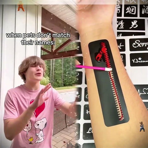 When a pet's name does not match its breed#humor#pov#fyp#viral#explorer