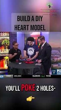 DIY Heart Model Easy Science Experiment Fun!