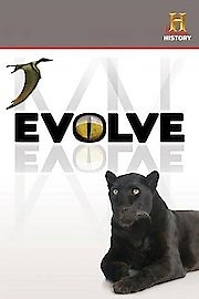 Watch Evolve Season 3 Episode 8 - Restore