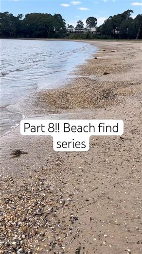 Part 8!! Beach find series 🐚 #shorts