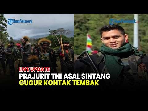🔴PRAJURIT TNI ASAL SINTANG KALBAR PRAKA APRIANUS GUGUR SAAT KONTAK TEMBAK DENGAN OPM DI PAPUA