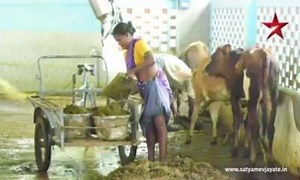 Reality about Nature & Animals | NATIONAL BIO GAS PROGRAM PAKISTAN | Facebook