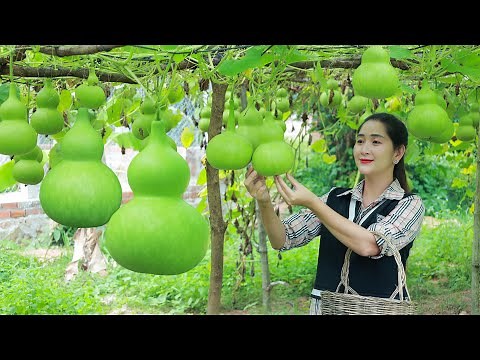 Cute bottle gourd recipe for dinner in my homeland | Have you ever eat this gourd in your country