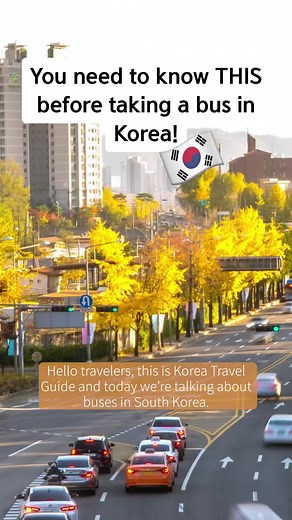 Essential Tips for Taking Buses in Korea