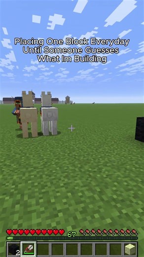 Placing One Block Everyday Until Someone Guesses What I'm Building #minecraft #shorts